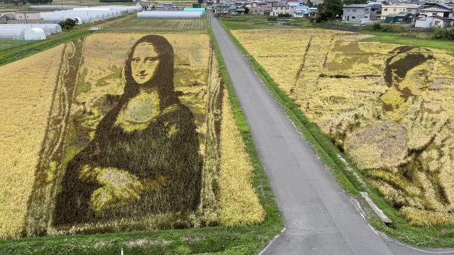The Enchanting World of Rice Paddy Art in Japan