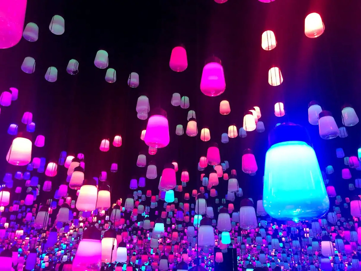 Discover a World Without Borders at TeamLab Tokyo