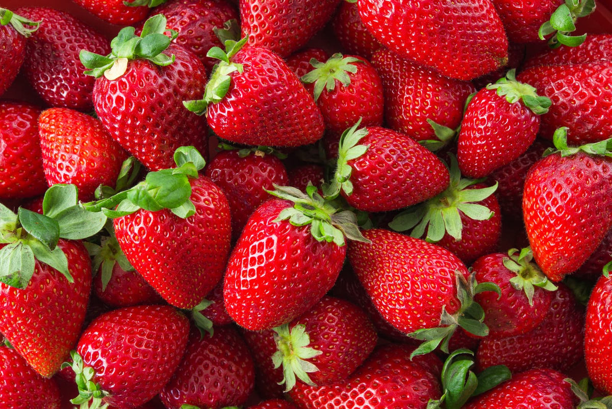 Exploring the Delight of Japanese Strawberries