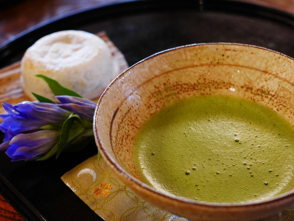 15 Japanese Healthy Drinks You Need to Try