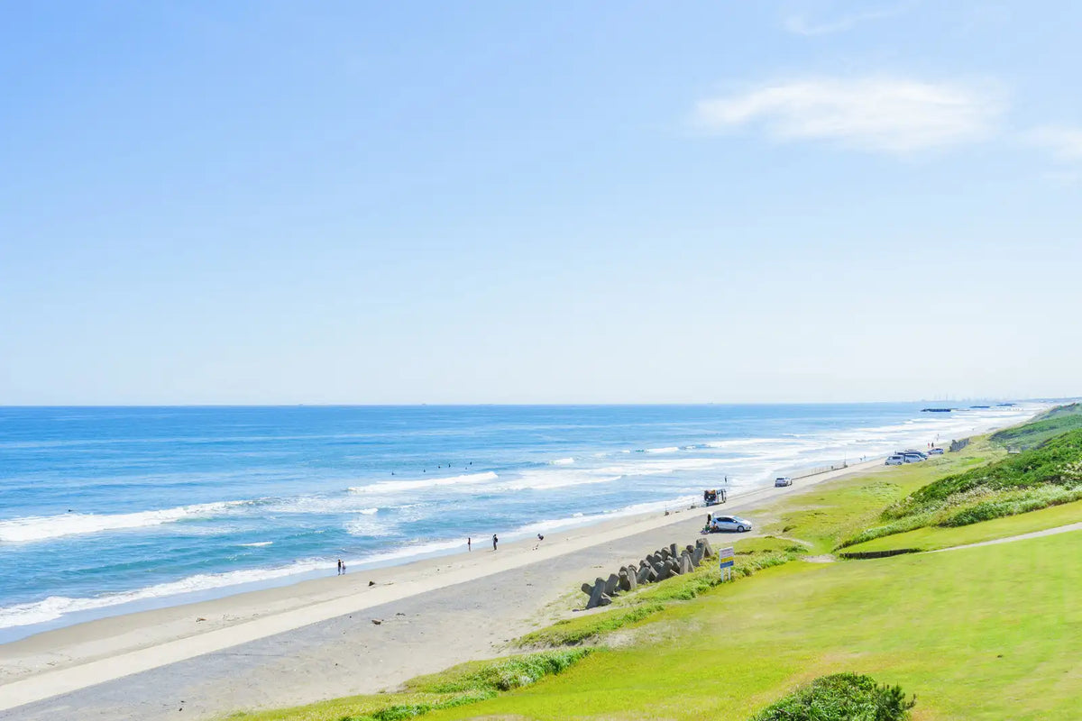 Discover Ibaraki: Japan's Agricultural Gem