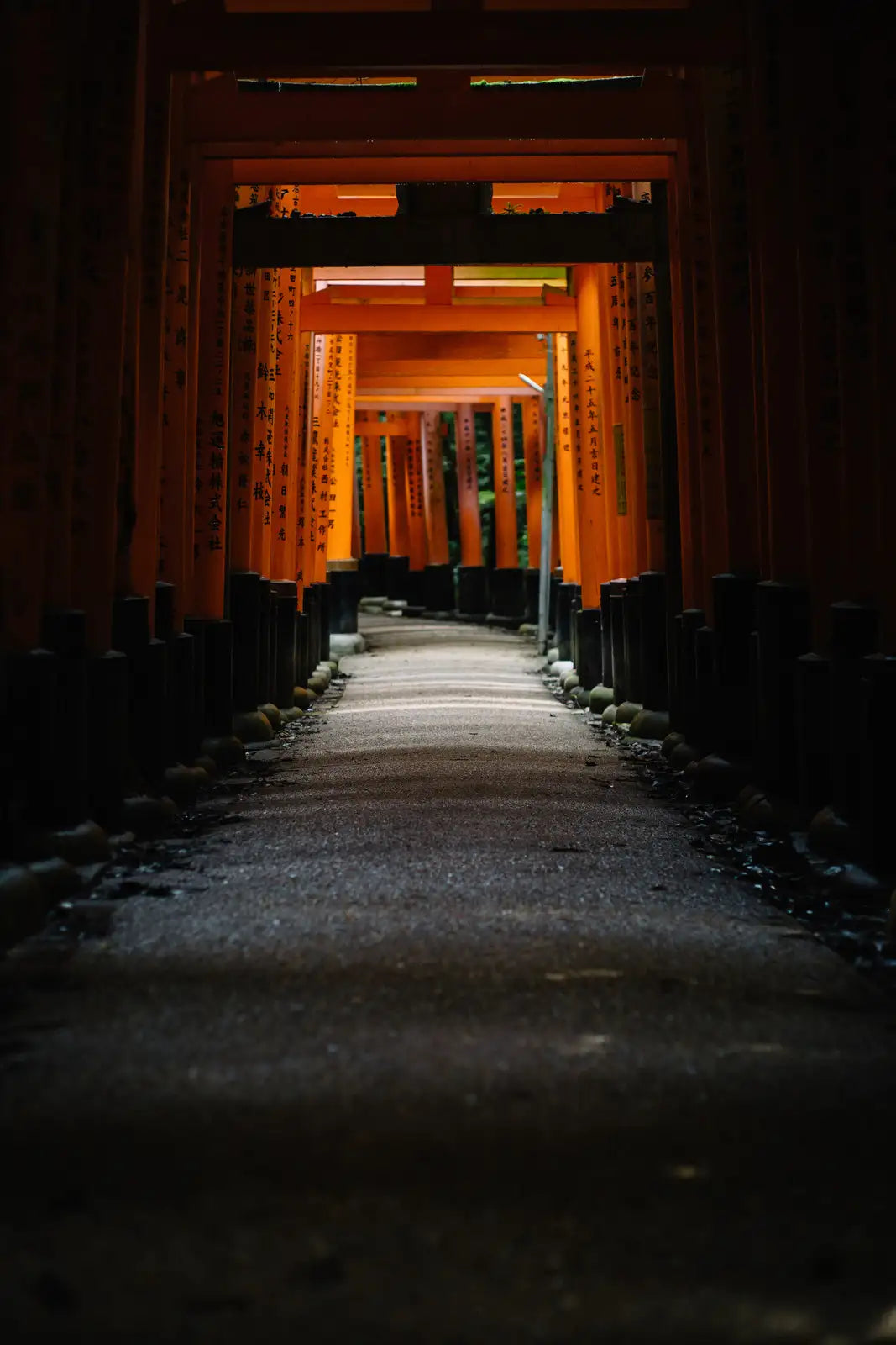 Discover the Essence of Nature Through the Japanese Lens