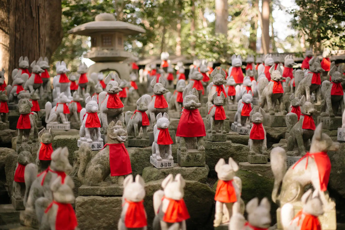 Discover the Hidden Gem of Japan Aichi's Unique Blend of Culture and Cuisine