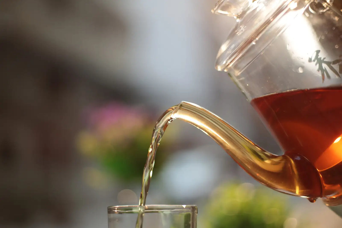 Discover the Art of Kawane Tea from Kawanehon, Shizuoka