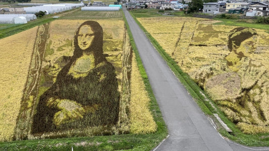 Travel-The Enchanting World of Rice Paddy Art in Japan-JAPANBITE