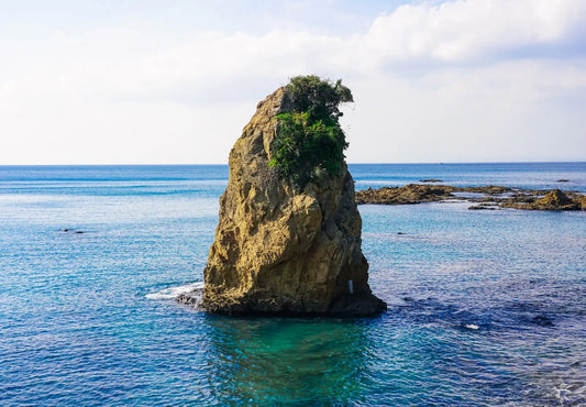 Other-Discovering Kanagawa's Winter Wonders-JAPANBITE