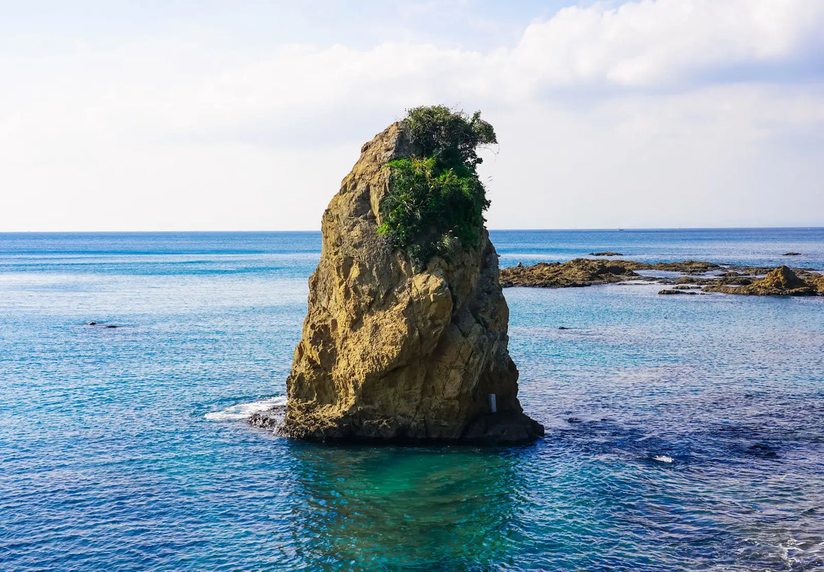 Discovering Kanagawa's Winter Wonders