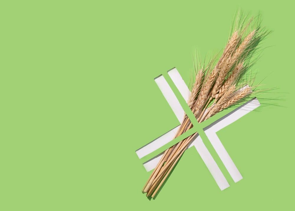 Ears and grains of wheat arranged in a cross shape on a green background