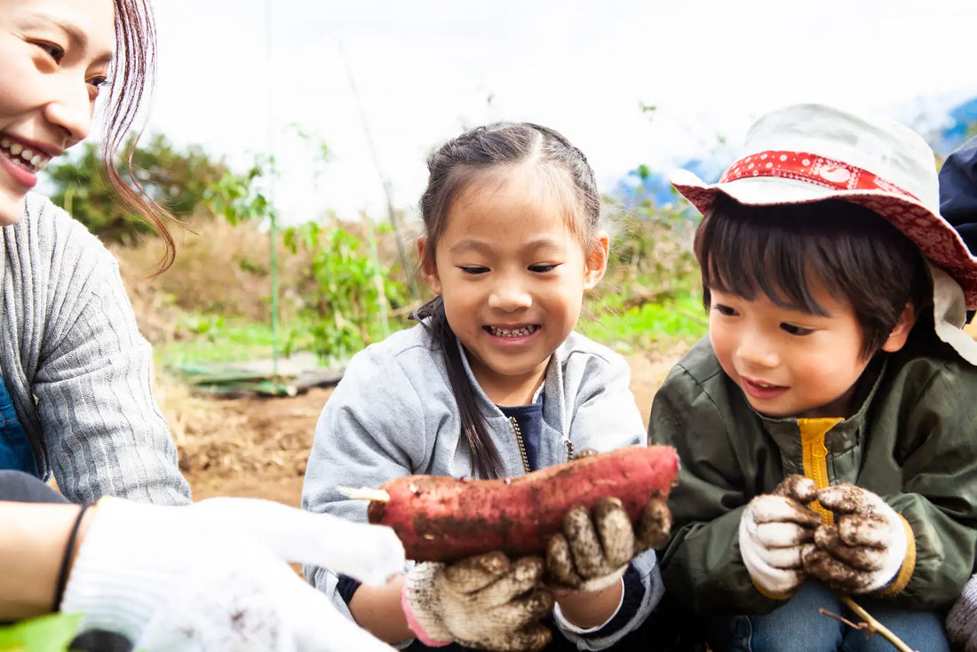 Other-Discover the Flavors of Japan Through Authentic Farm Tours-JAPANBITE