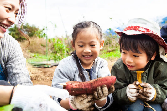 Other-Discover the Flavors of Japan Through Authentic Farm Tours-JAPANBITE