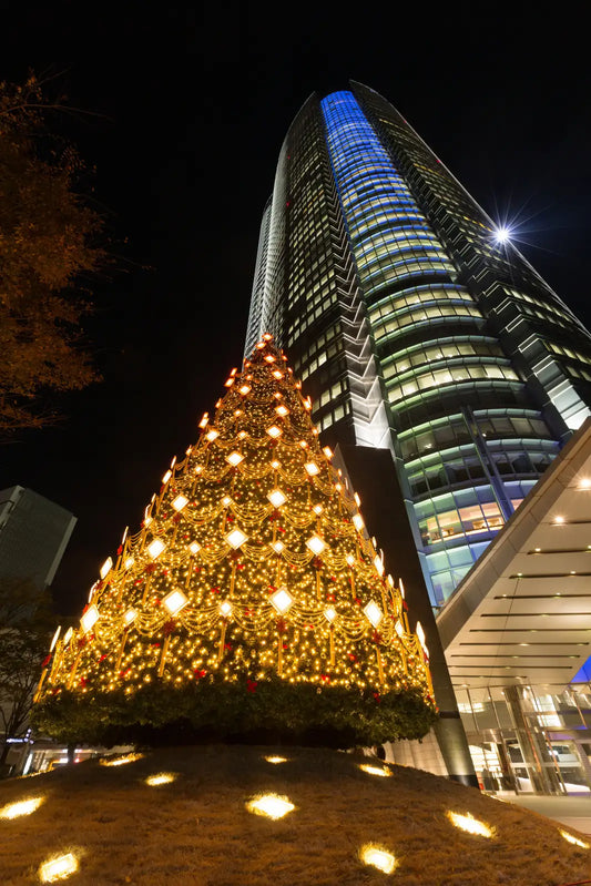 Other-Discover the Magic of Christmas in Tokyo-JAPANBITE