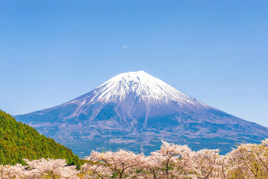 Other-Discovering Shizuoka A Land of Tradition Flavor and Scenic Beauty-JAPANBITE