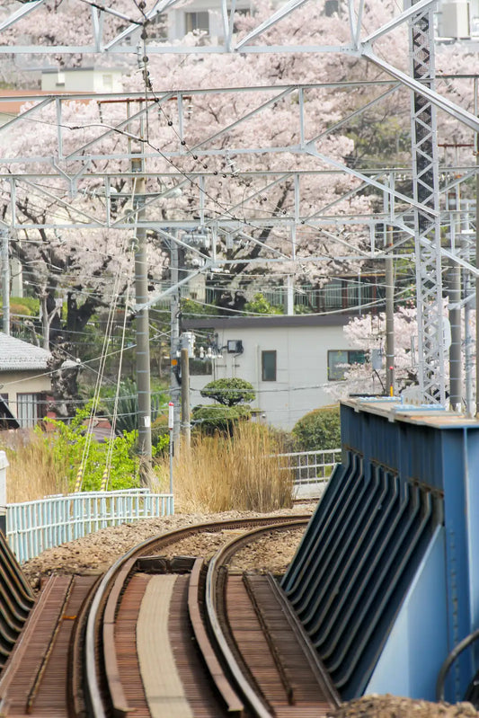 Other-Unveiling Japan's Enchanting Railsides-JAPANBITE