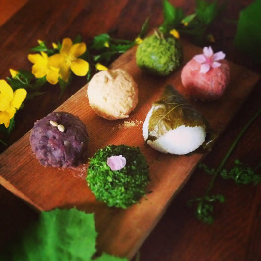 Other-Savoring Seasons and Culture with Wagashi Delights-JAPANBITE