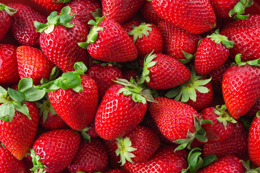 Other-Exploring the Delight of Japanese Strawberries-JAPANBITE