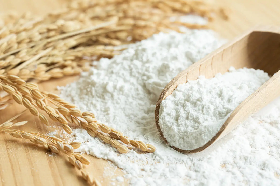 Latin Rice Flour Discover the Magic of Rice Flour in Japanese Cuisine and Beyond – JAPANBITE