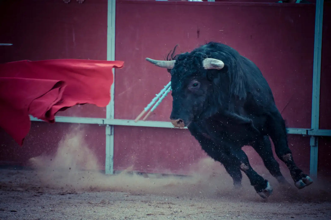 Culture&Arts-A Unique Cultural Experience in Japan: Exploring Togyu-JAPANBITE