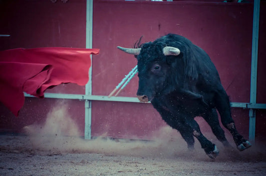 Culture&Arts-A Unique Cultural Experience in Japan: Exploring Togyu-JAPANBITE