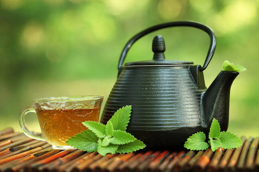 Other-Discovering the Delicacies of Yamagata Bancha in Yamagata-JAPANBITE