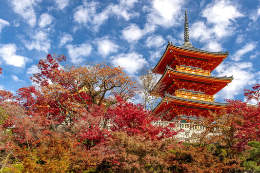 Travel-Discovering Japan's Pagodas: A Journey Through Time and Architecture-JAPANBITE