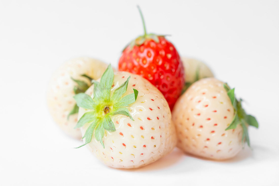 Food&Drink-Japan's White Strawberries: A Luxurious Treat You Need to Try-JAPANBITE