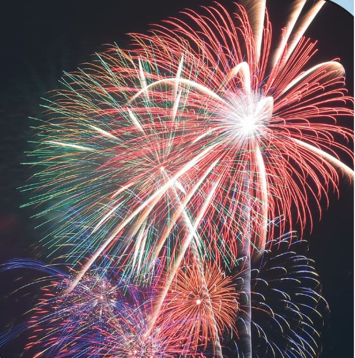 Hydrangea in the rain